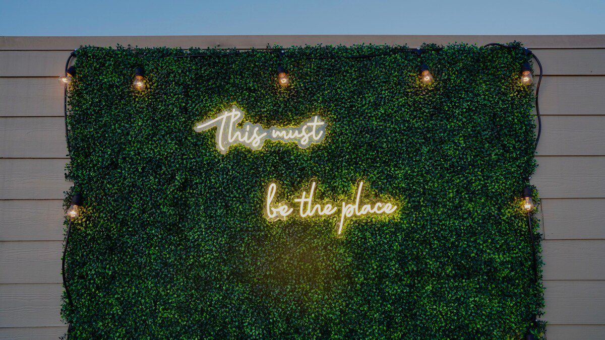 0ab8957a 3419 4609 8edf 450feb04e5d9.jpg